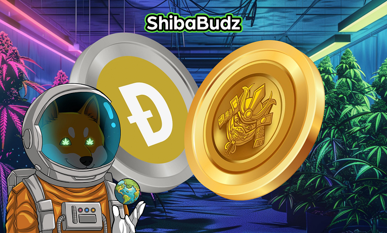 DOGE investors increase BUDZ holdings with Dogecoin profits