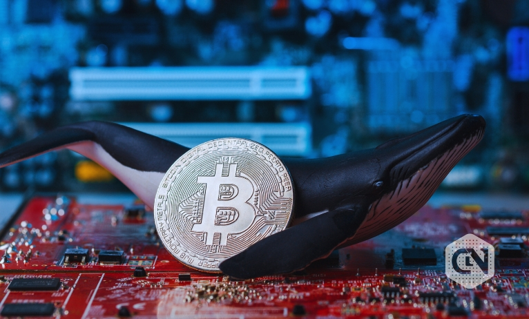 Paus membuang $1,2 miliar dalam BTC: Apakah penurunan berikutnya menjadi $60K?