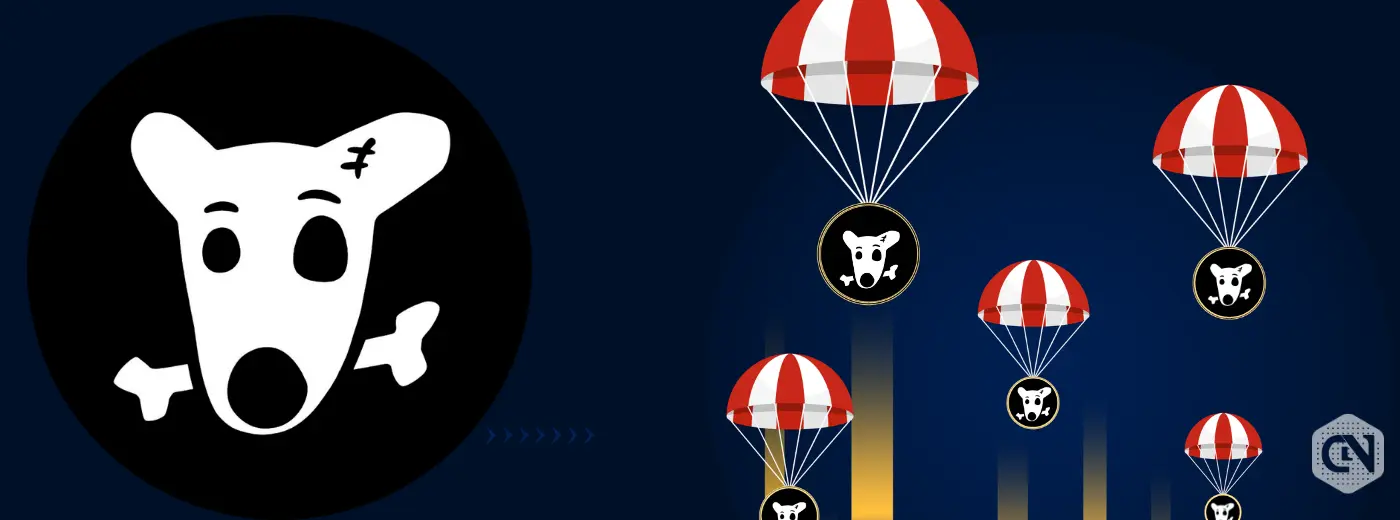 Here's Everything You Must Know About DOGS Airdrop