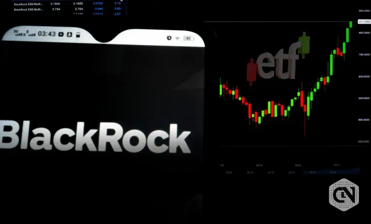 BlackRock Memimpin dengan Arus Masuk $20,02 Miliar, Grayscale Melihat Arus Keluar yang Signifikan