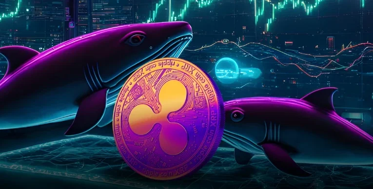 Ripple Whales Melakukan Aksi Akumulasi: Apakah XRP Dapat Melonjak?