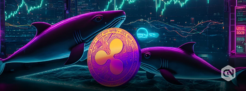 Ripple Whales Go On Accumulation Spree With $380 Million Purchase: Can XRP Surge?