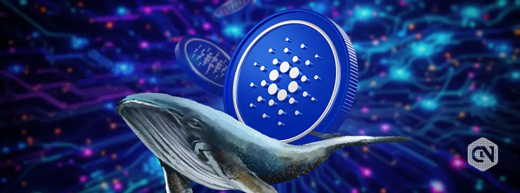 Cardano Whale Activity